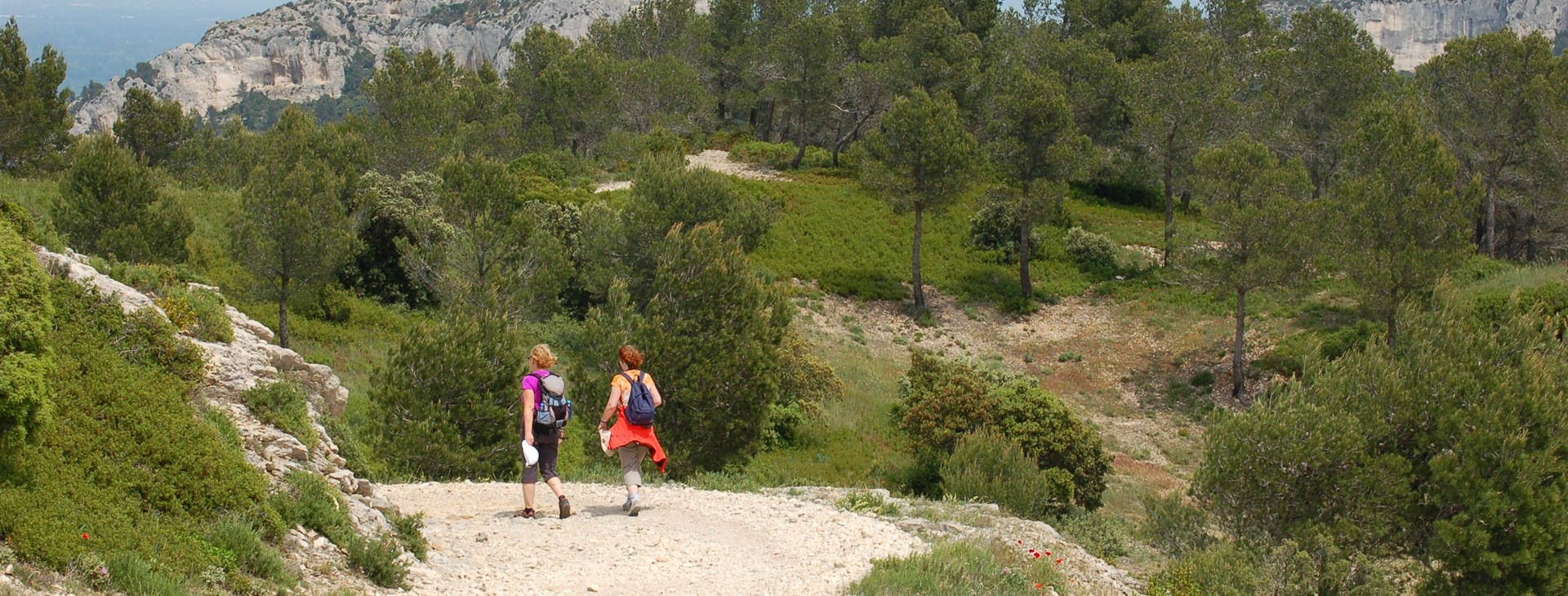 Autor: Tomáš Ochma Procházka