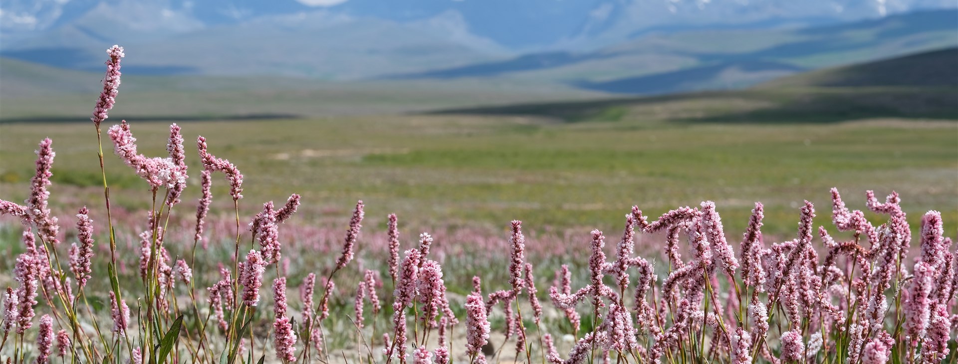 Pákistán: pod Střechu světa
