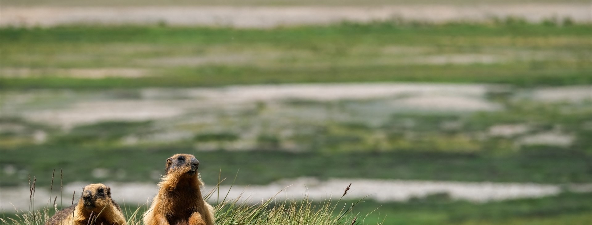 Pákistán: pod Střechu světa