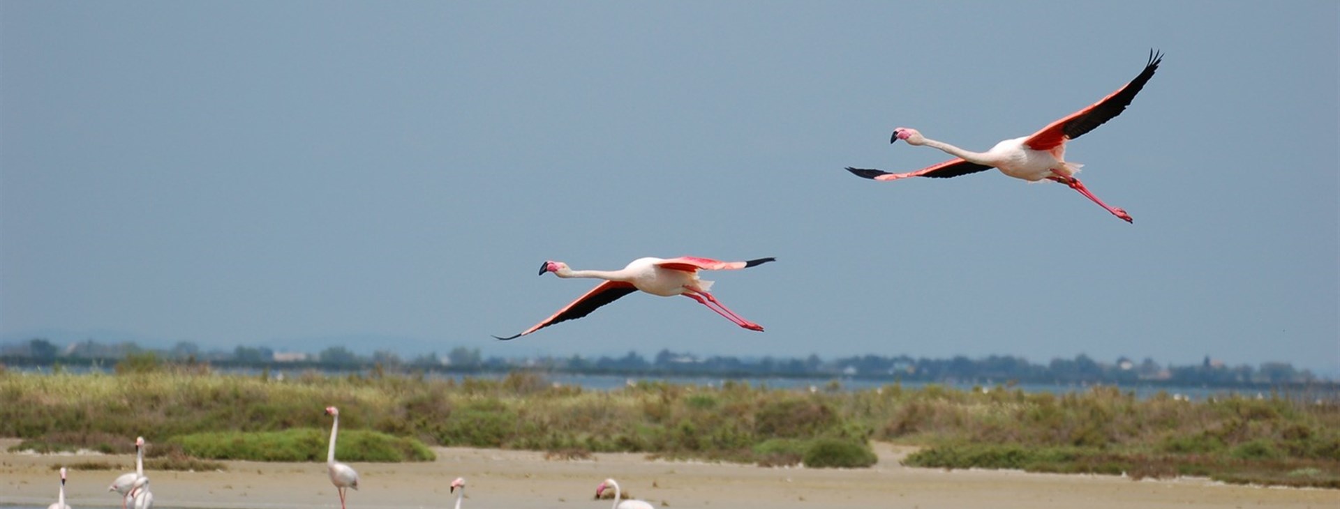 Barvy, chutě a vůně Provence - turisticky