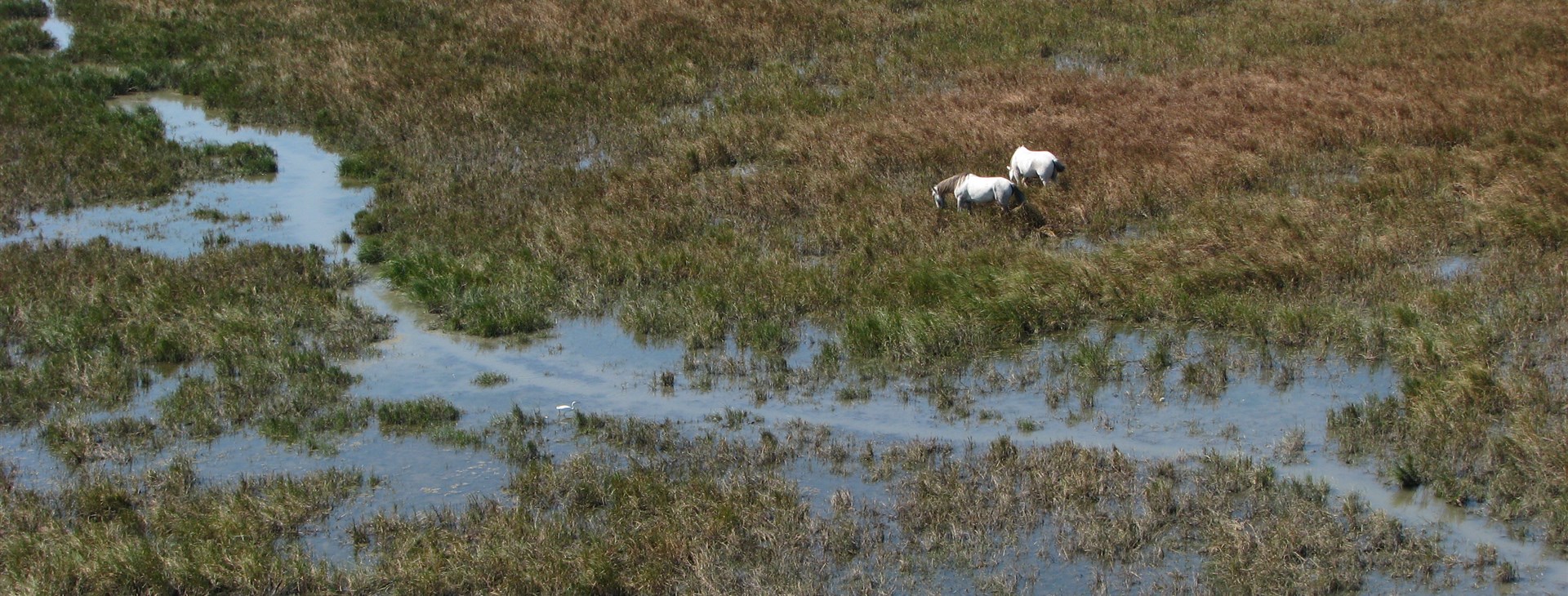 Barvy, chutě a vůně Provence - turisticky