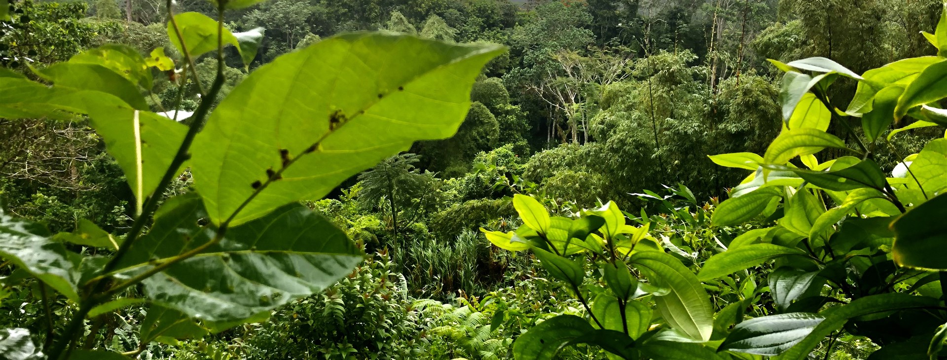 KUBA plná překvapení – expedičně