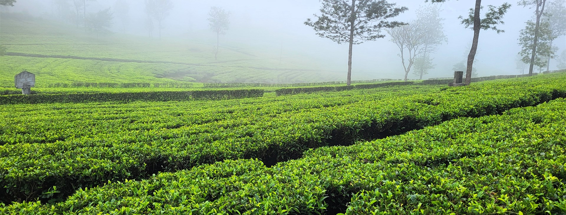 autor: Martin "Komár" Hessler