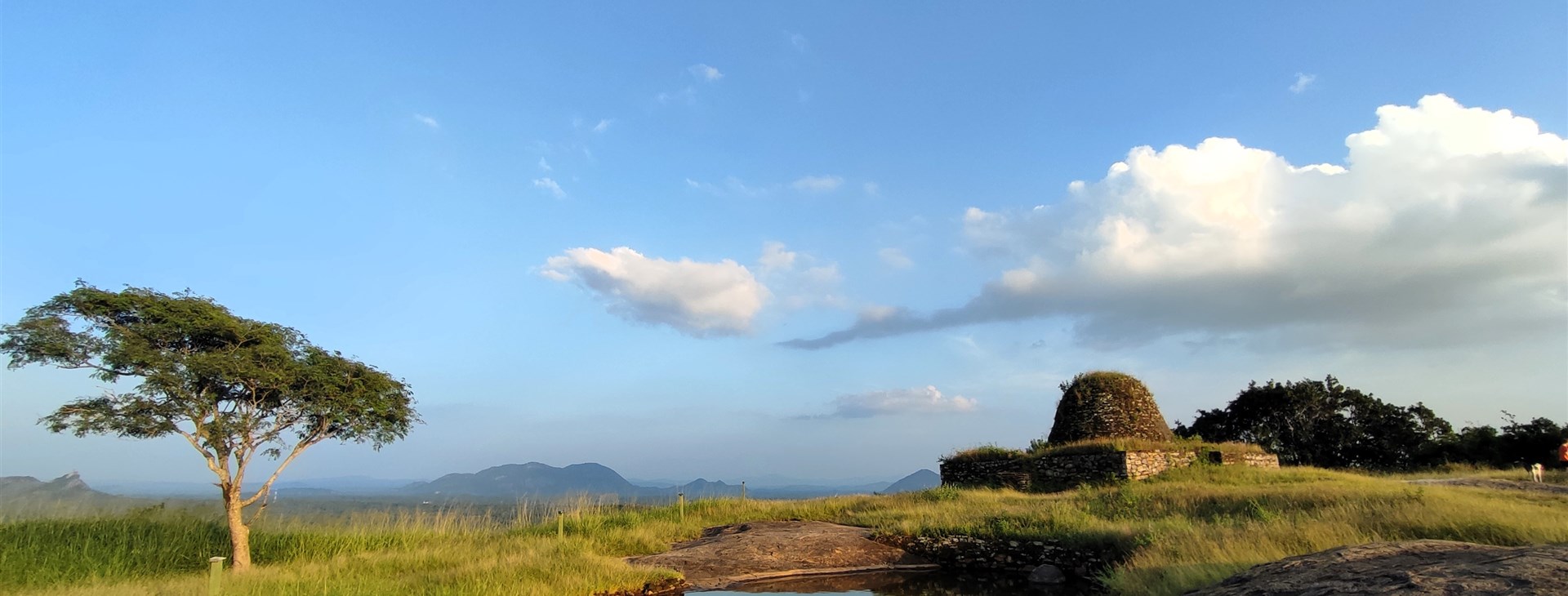 Autor: Amalia Glížová