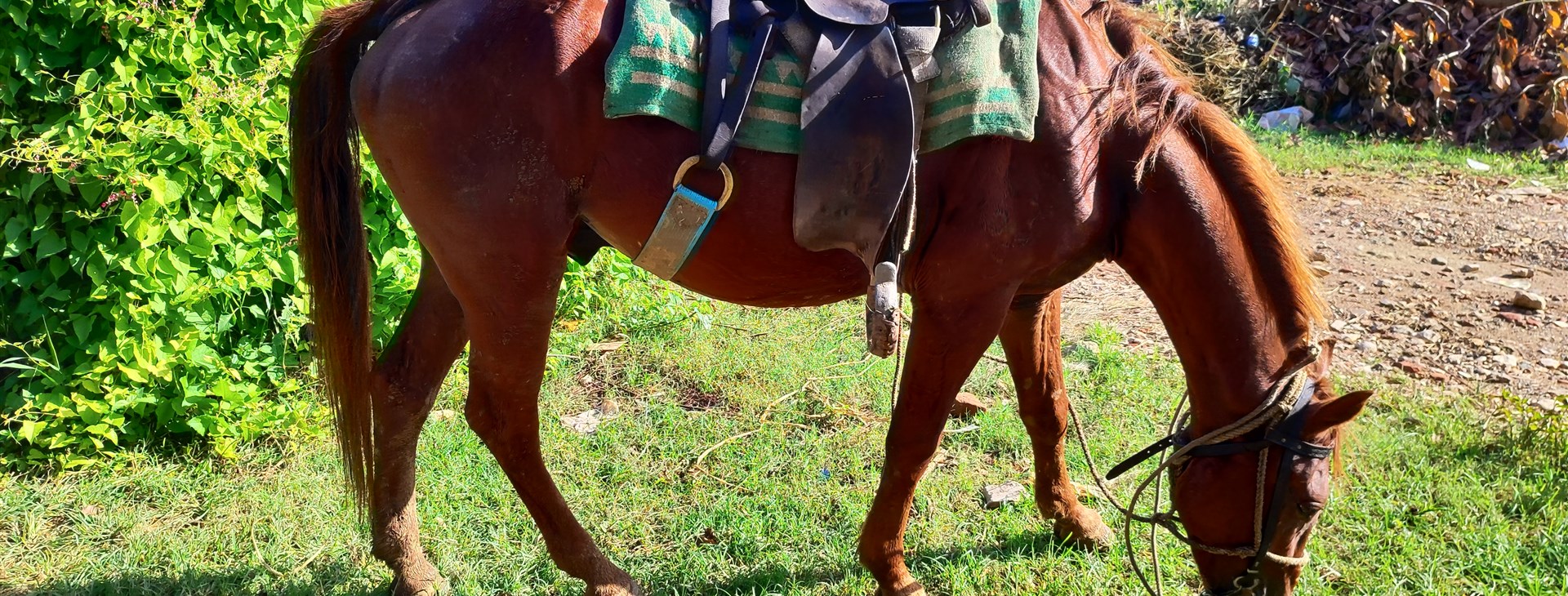 Putování KUBOU pěšky i v sedle – expedičně