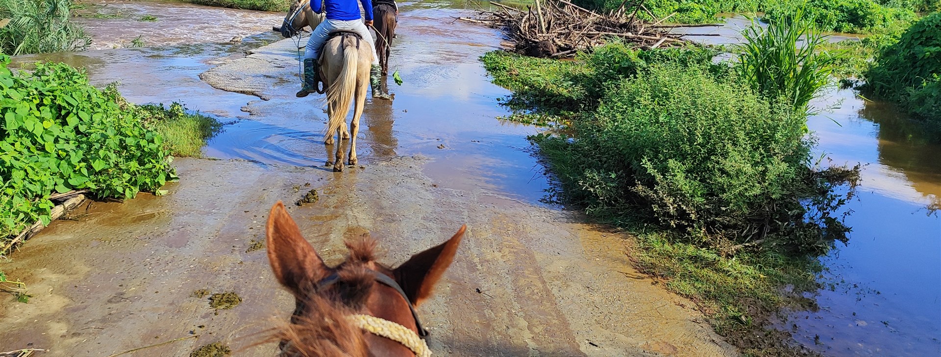 Putování KUBOU pěšky i v sedle – expedičně