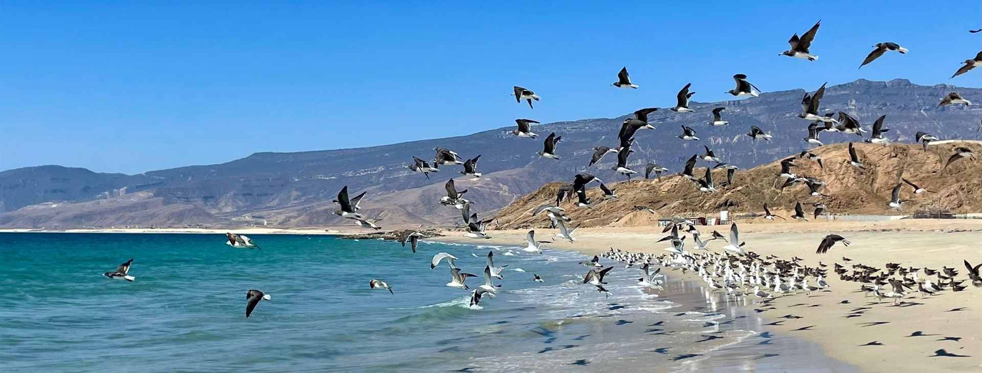 Velký okruh Ománem