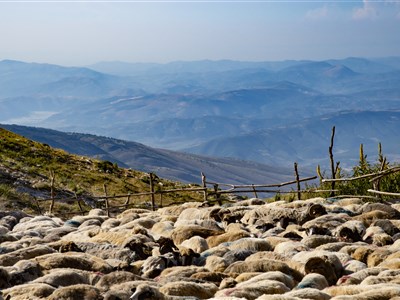 ALBÁNIE NA HRANĚ SVĚTŮ - turistická i ta liduprázdná