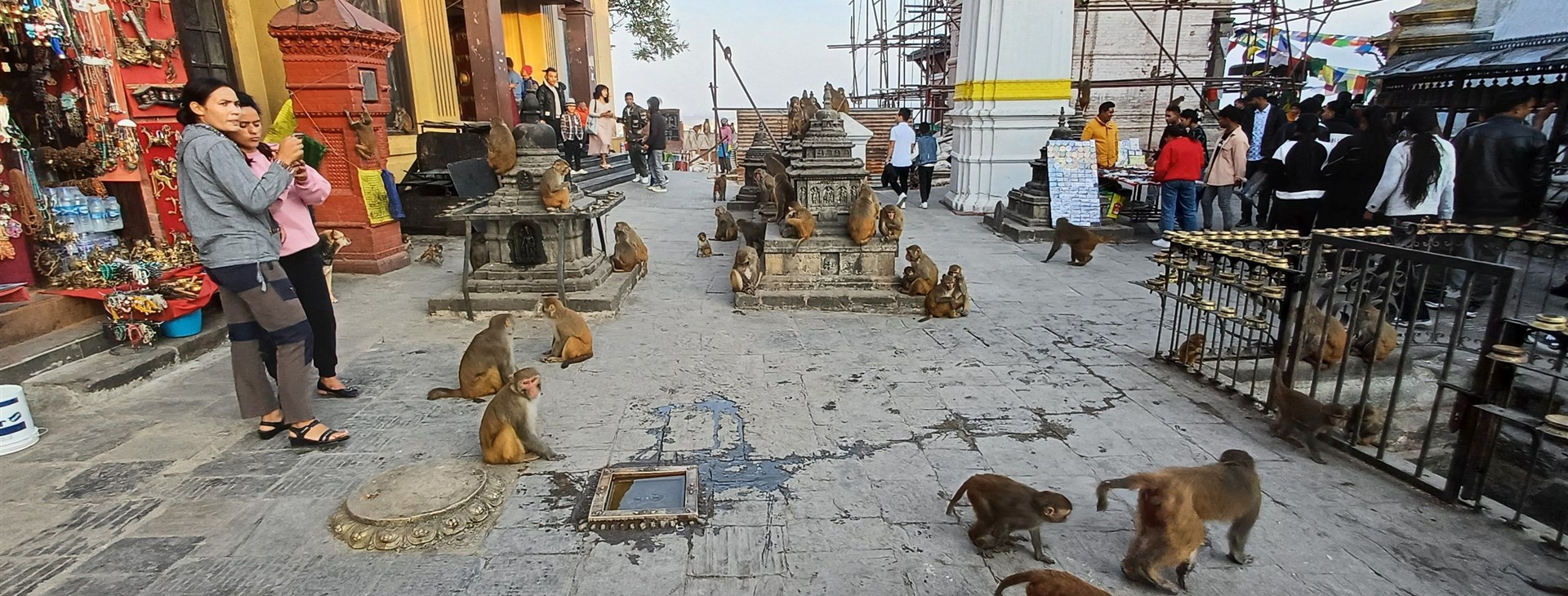 autor: Lada Čerešňáková