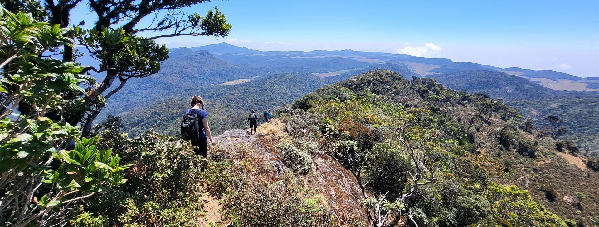 autor: Martin "Komár" Hessler