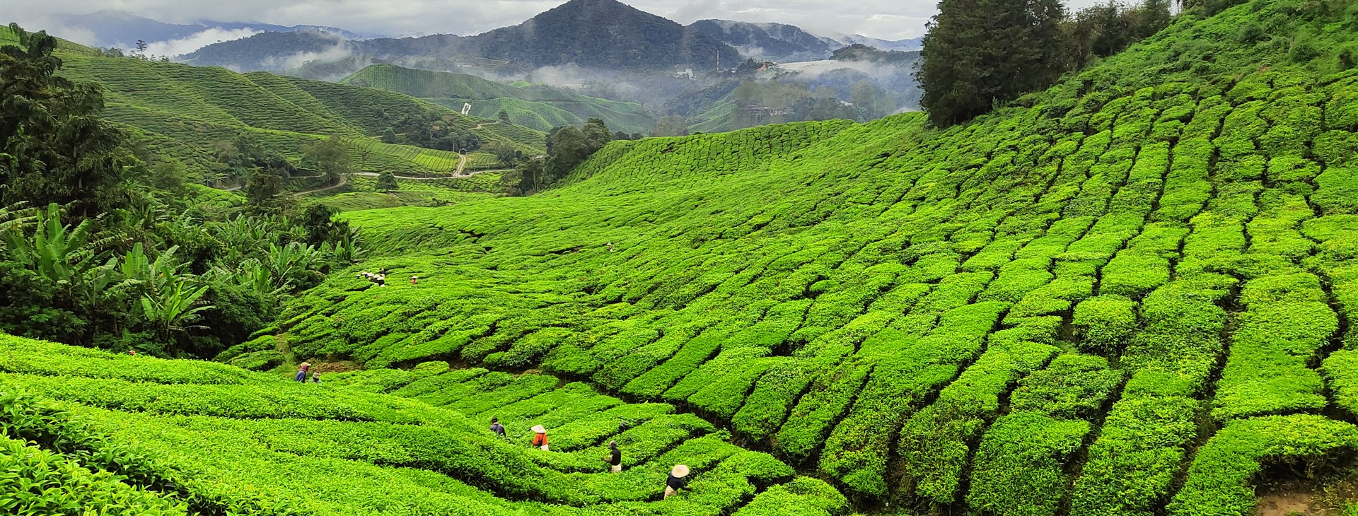 Singapur, Malajsie a Thajsko