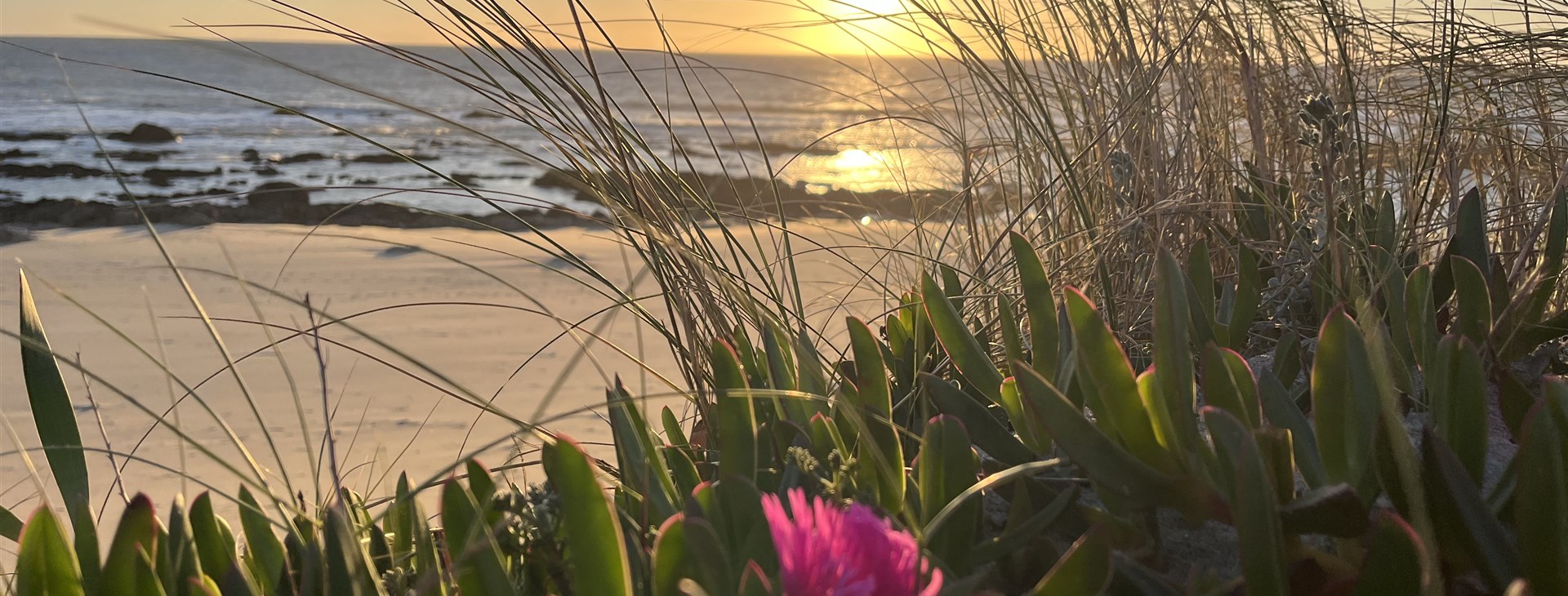 Pobřežní cesta Camino Portugues do Santiaga