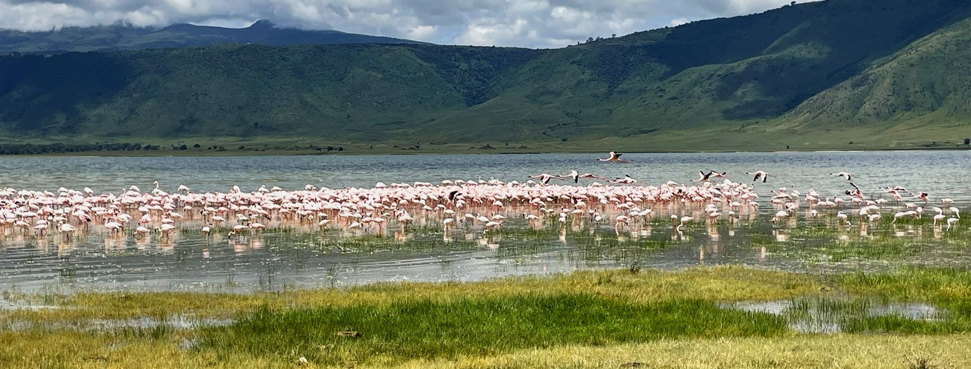 Tanzanie - Safari a Zanzibar
