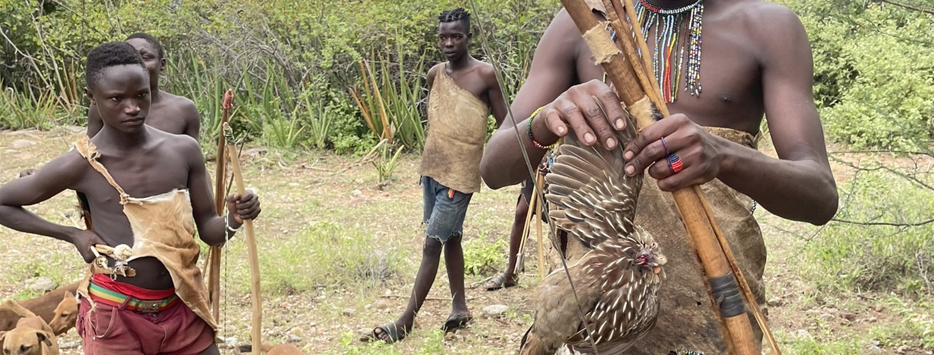 Tanzanie - Safari a Zanzibar