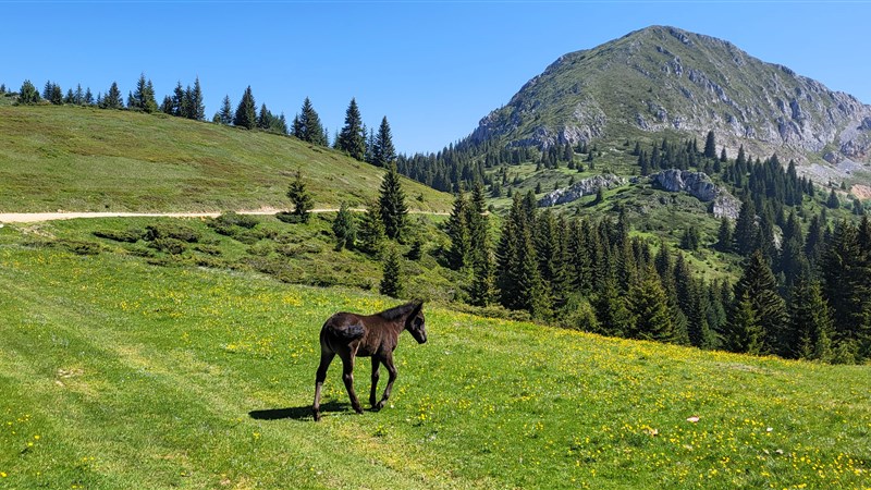 Balkánské trojmezí - Kosovem, Albánií a Černou Horou