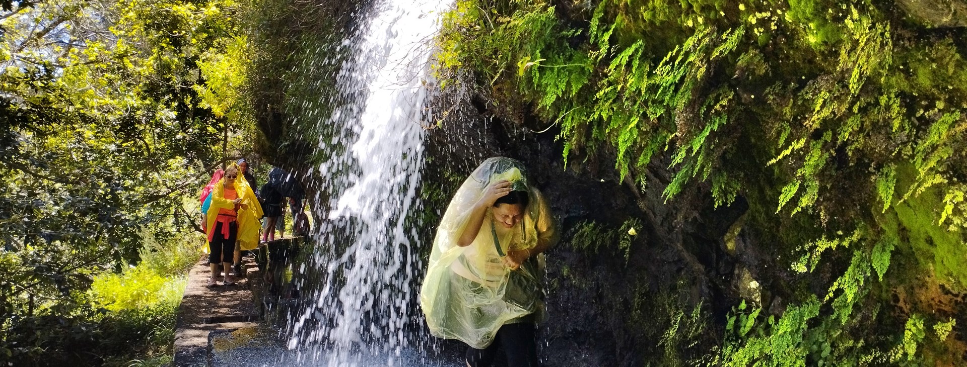 Madeira – Království vody