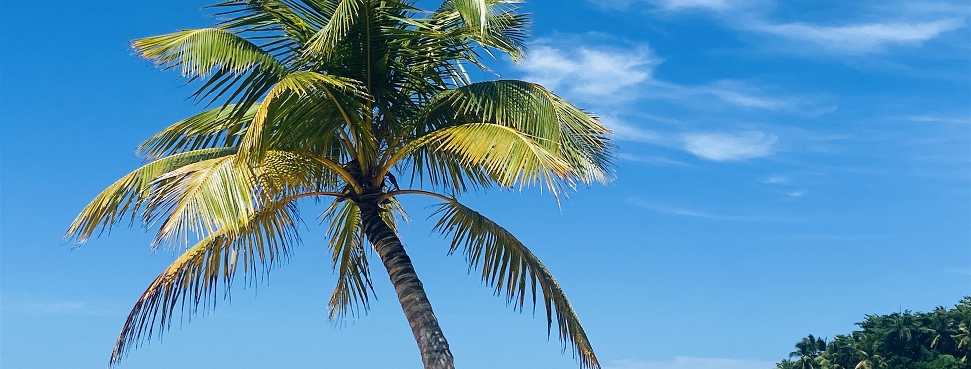 Dominikánská republika