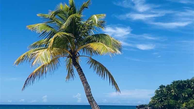 Dominikánská republika