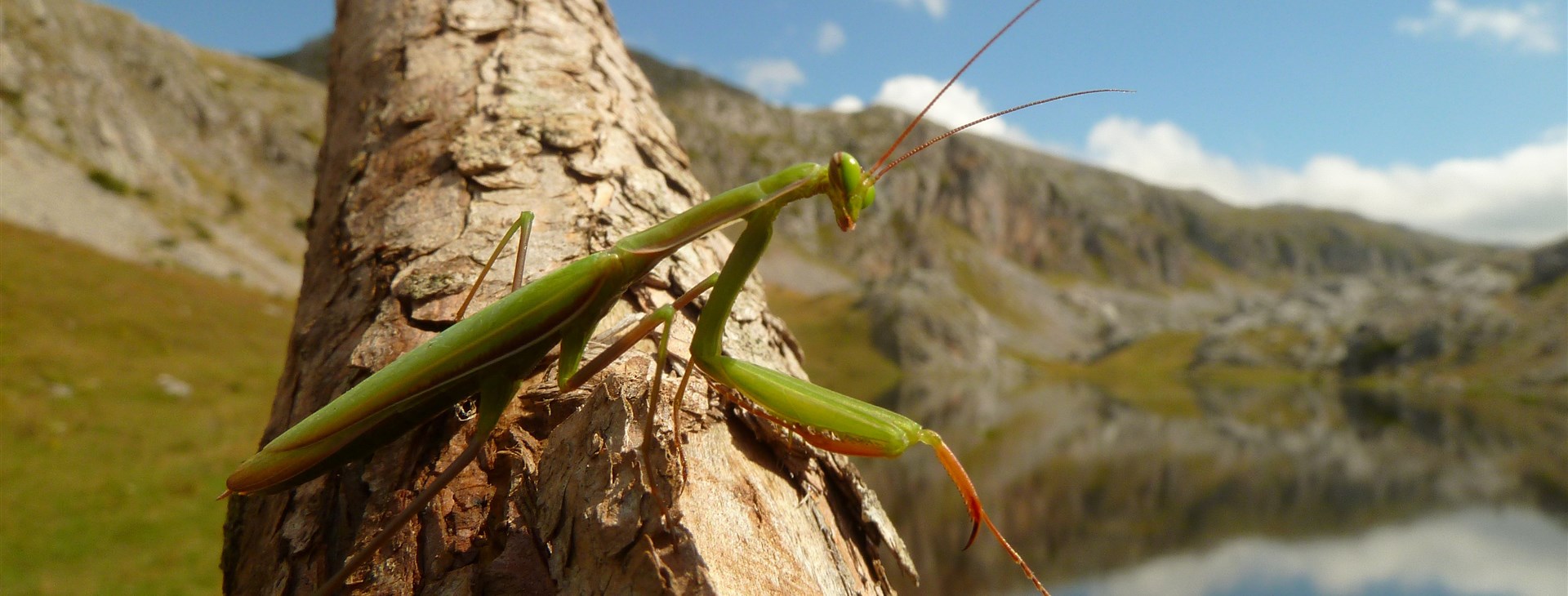Balkánská mozaika pobřeží Černé Hory
