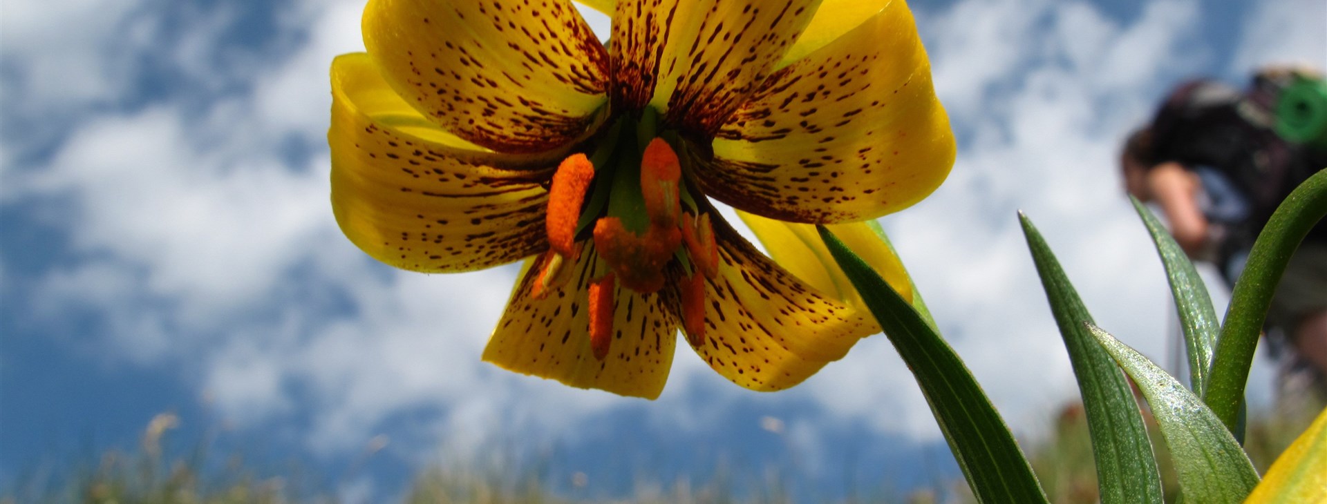 Balkánská mozaika Černá Hora a východní Bosna