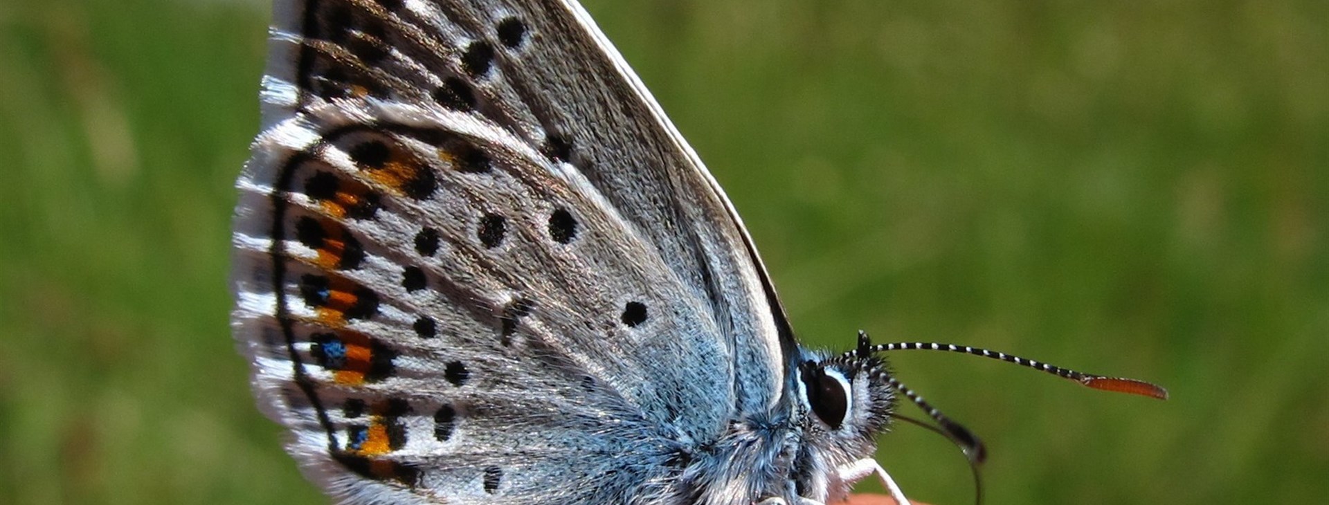 Balkánská mozaika Bosna a Hercegovina