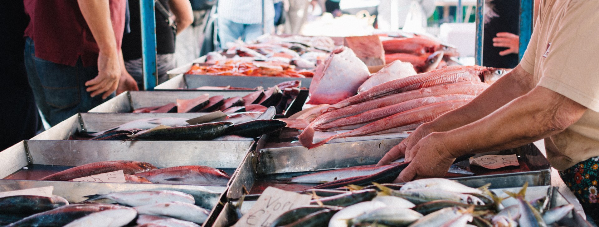 Balkánská mozaika Chorvatsko