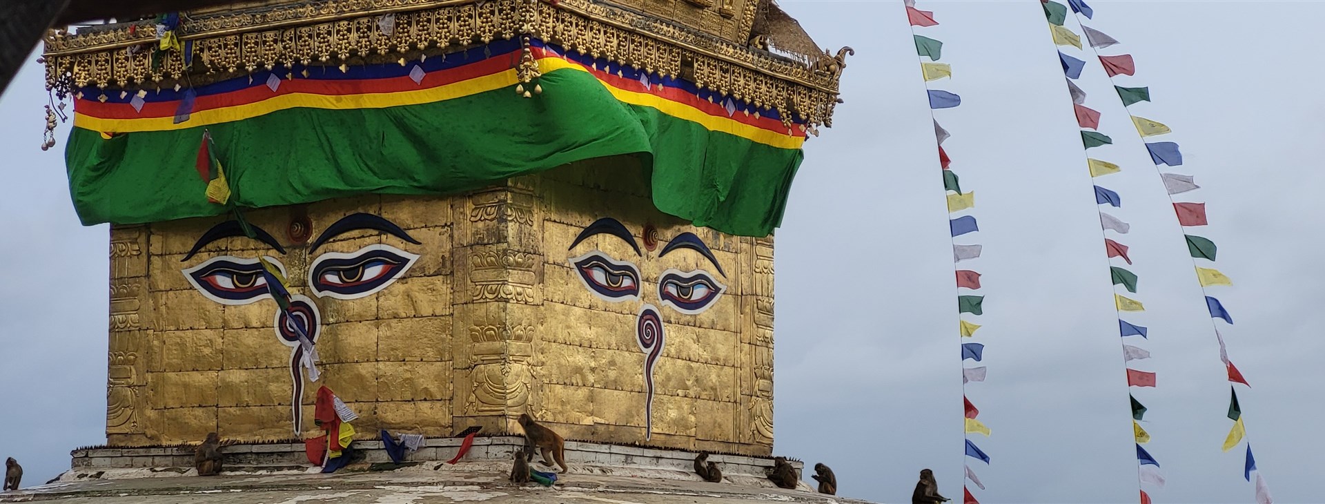 Nepál - treky Mardi Himal a Khopra Danda