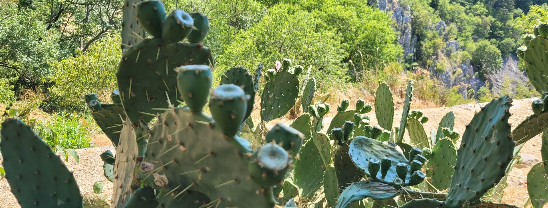 Jak vytrhnout velrybě stoličku