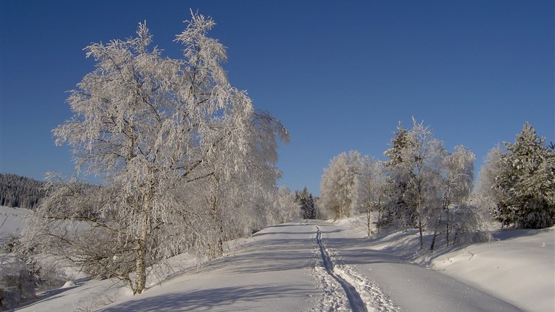 Šumava na sněžnicích
