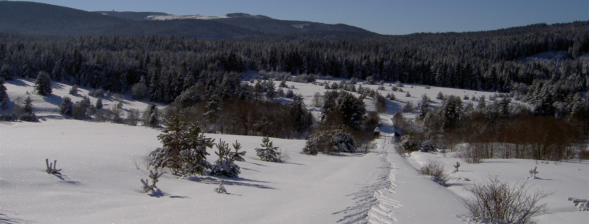 Šumava na sněžnicích