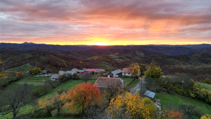 Banátské posvícení