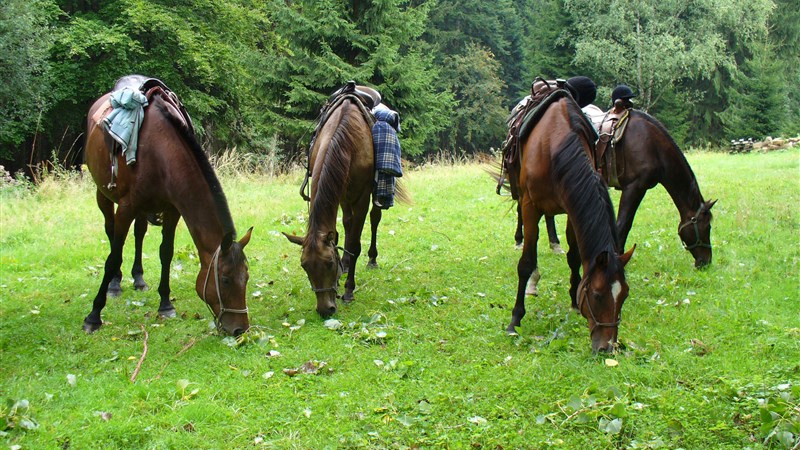 Putování na koních pro začátečníky - kolem ranče Oklahoma