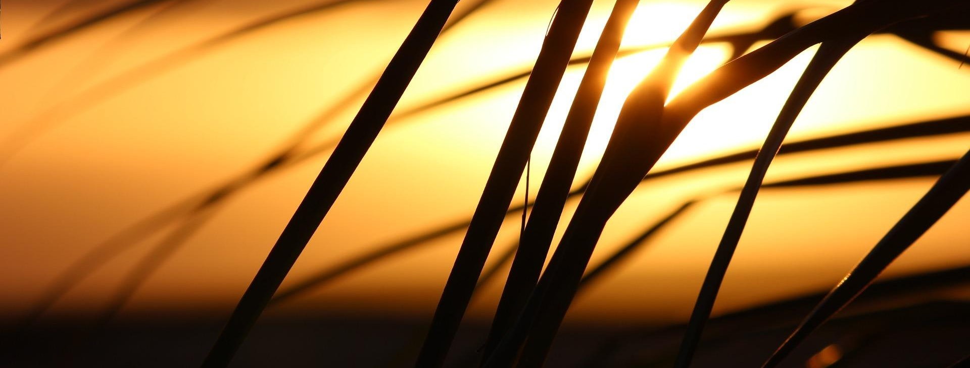 Kapverdy - ostrovy zeleného mysu