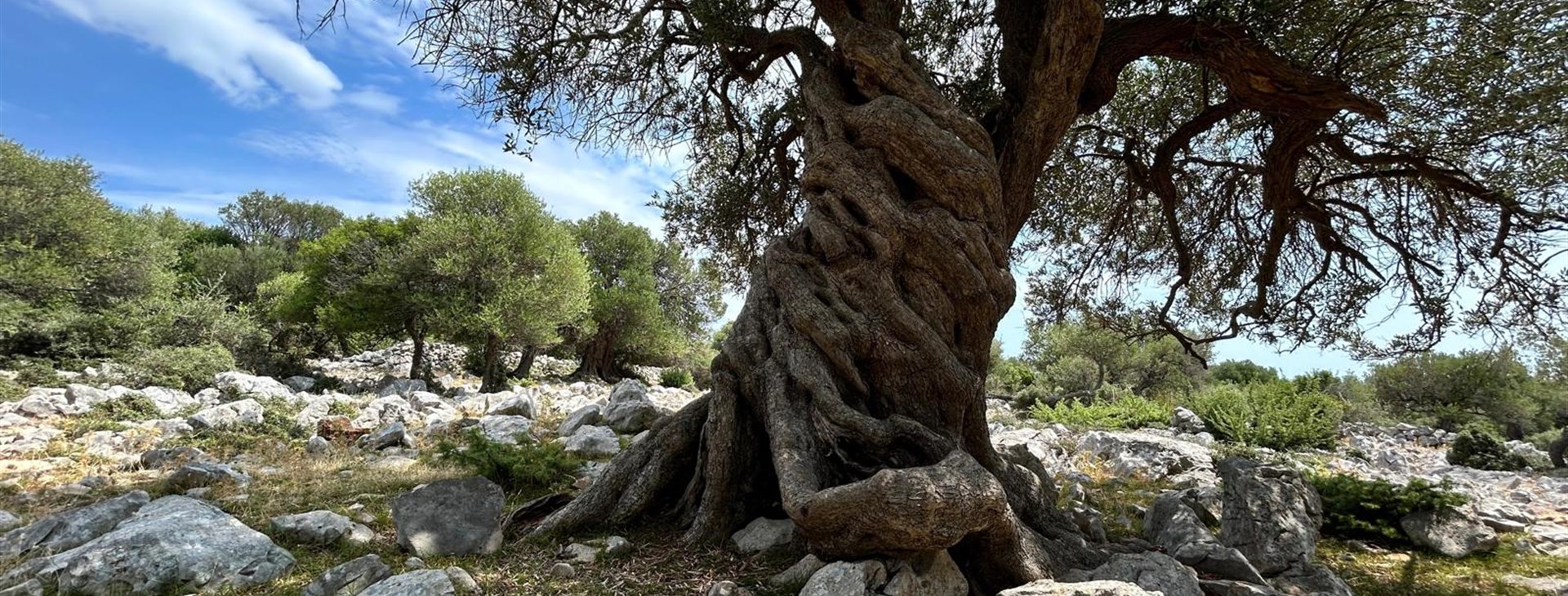 Robinsonáda na ostrovech pokladů