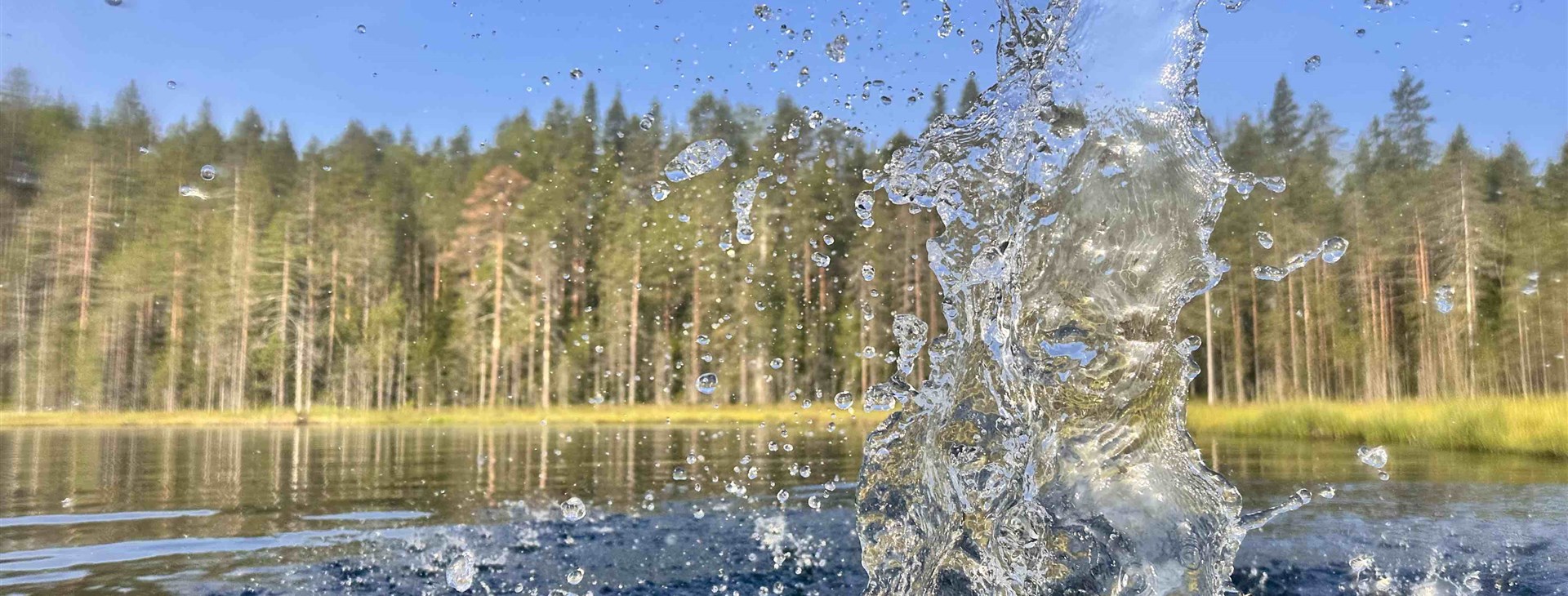 Do finských národních parků