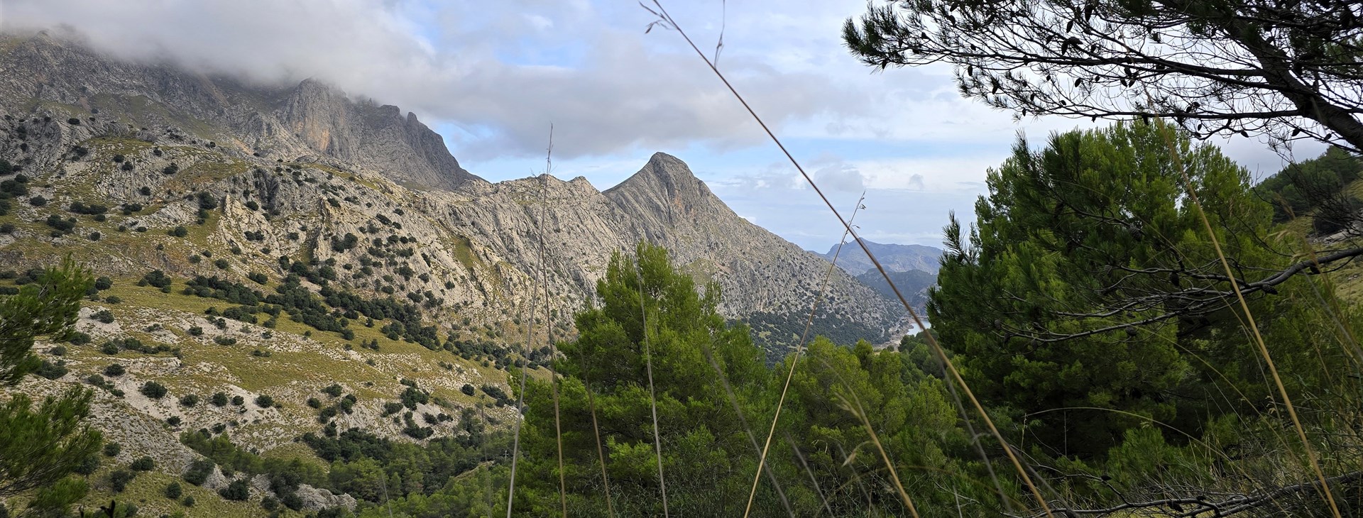 Mallorca - jednodenní túry