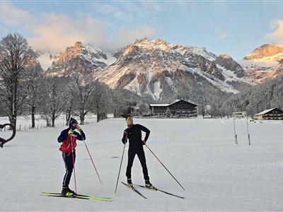 Zimní zájezdy jsou na webu