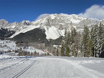 Zimní zájezdy jsou na webu