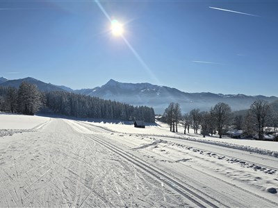 Zimní zájezdy jsou na webu