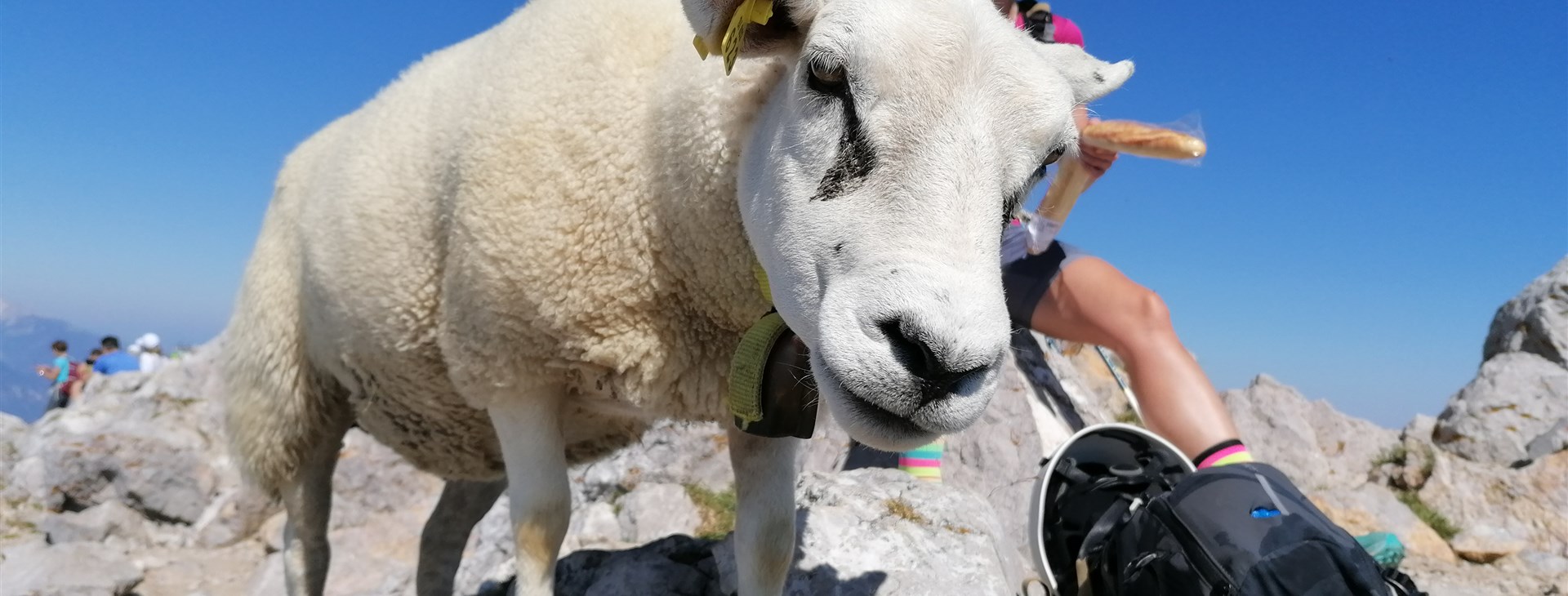 Dechberoucí Slovinsko