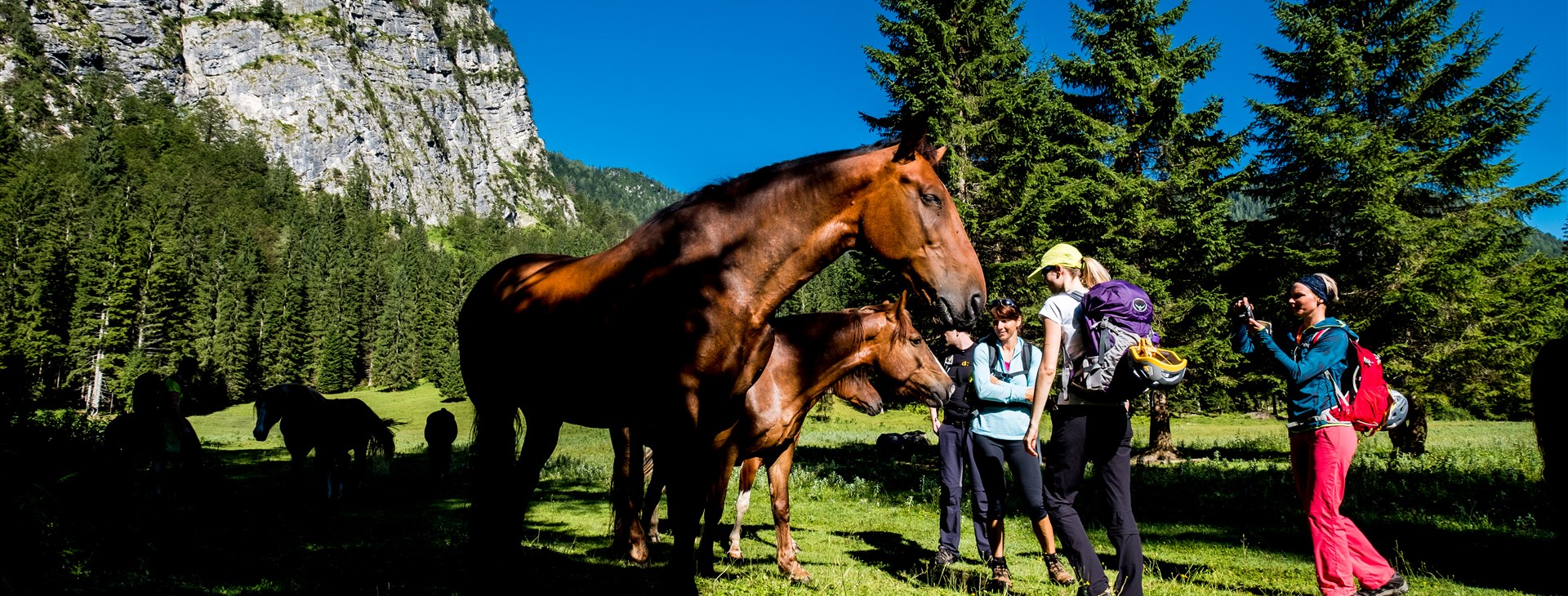 Dechberoucí Slovinsko