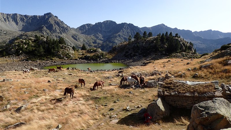 Andorra s krosnou - trek GRP