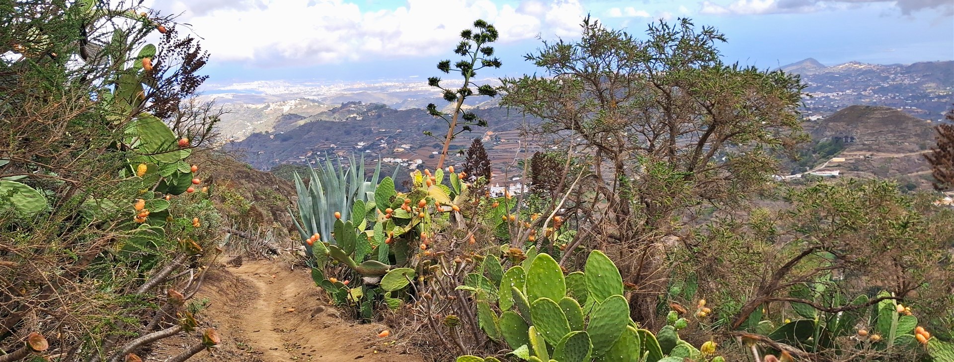 Opravdová Gran Canaria