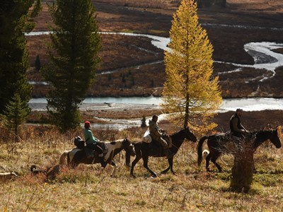 Kazachstán - země stepí, koní a altajských velehor
