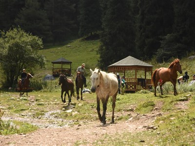 Kazachstán - země stepí, koní a altajských velehor