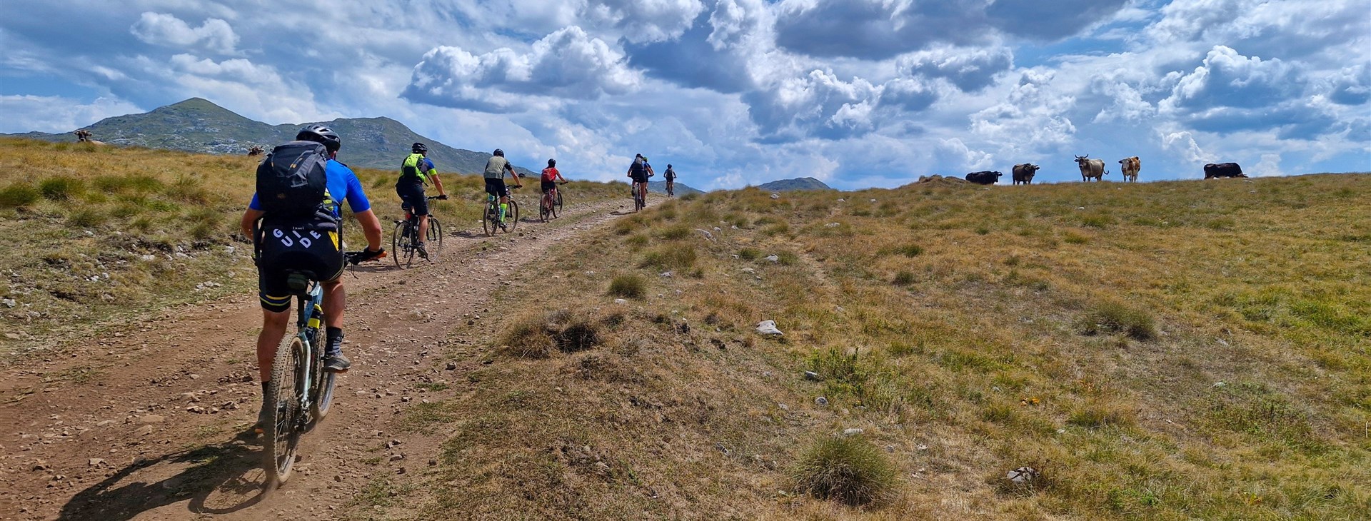 Autor: Petra Hejtmánková