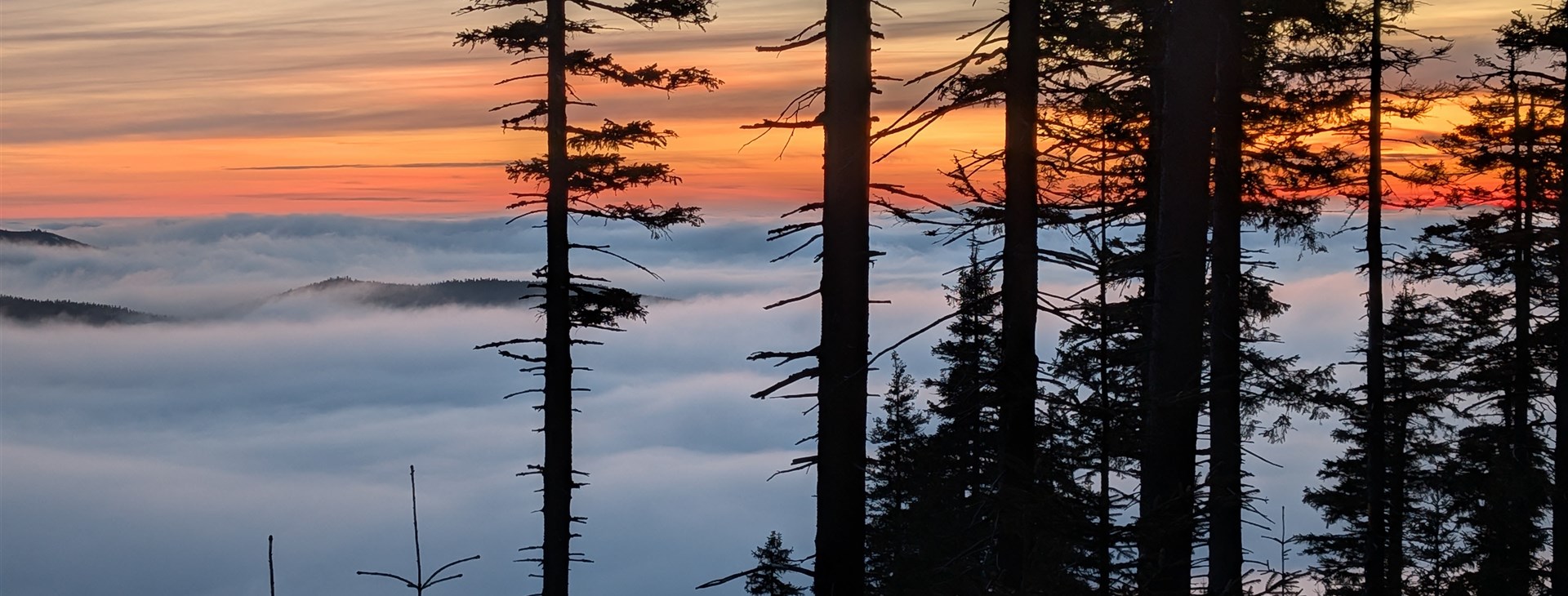 Skialpový kurz v Jeseníkách pro začátečníky