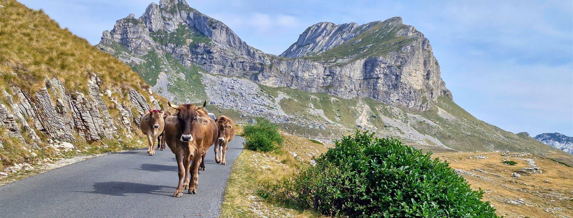 Autor: Petra Hejtmánková