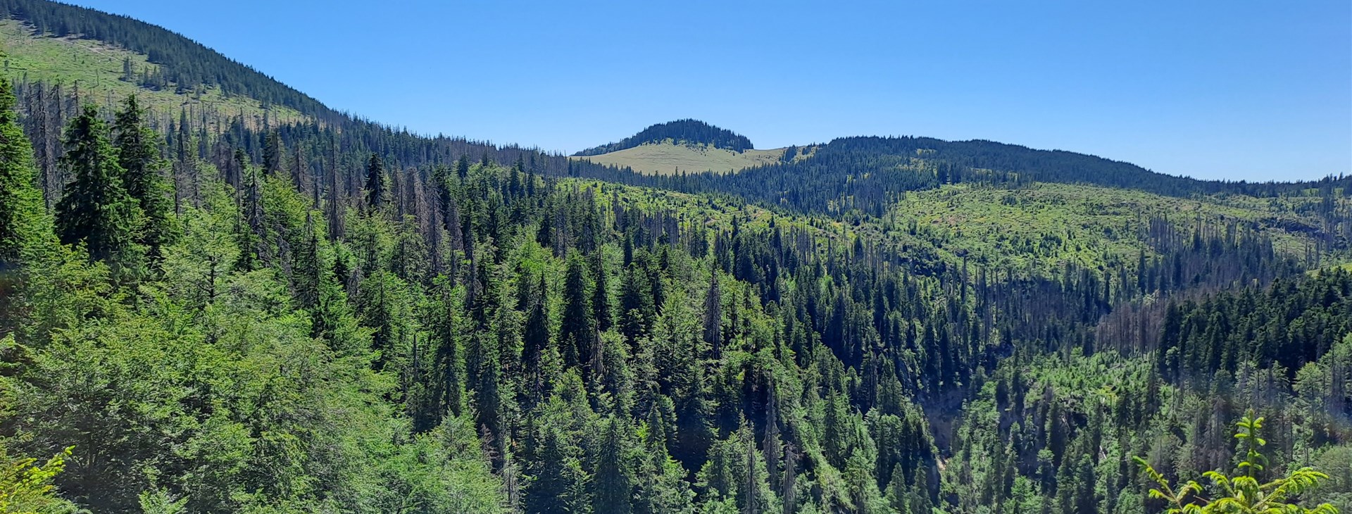 Jarní prázdniny v Apuseni