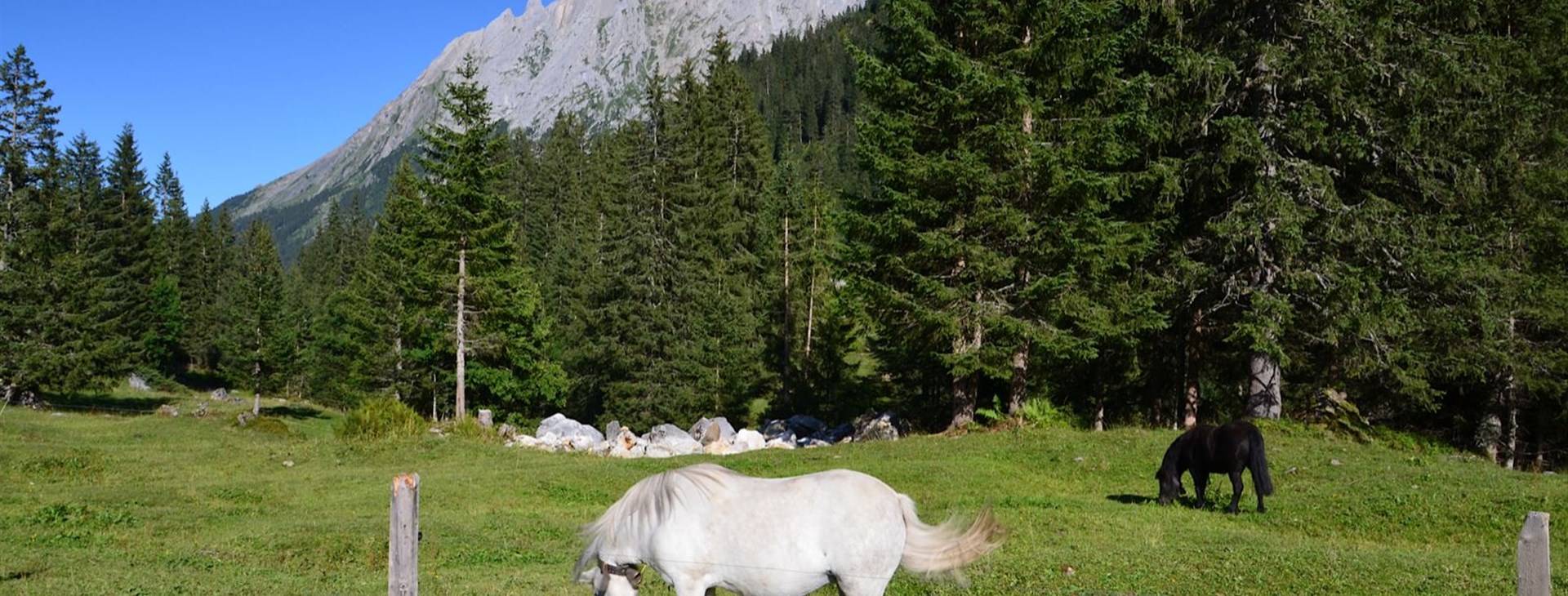 Švýcarsko - Bernské Alpy s dětmi